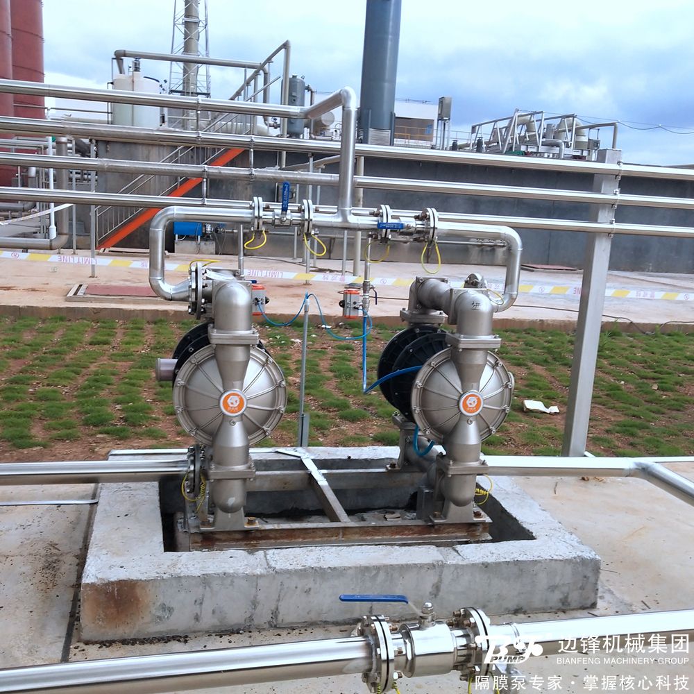 1716187224-4962.jpg 1716187224-4962.jpg