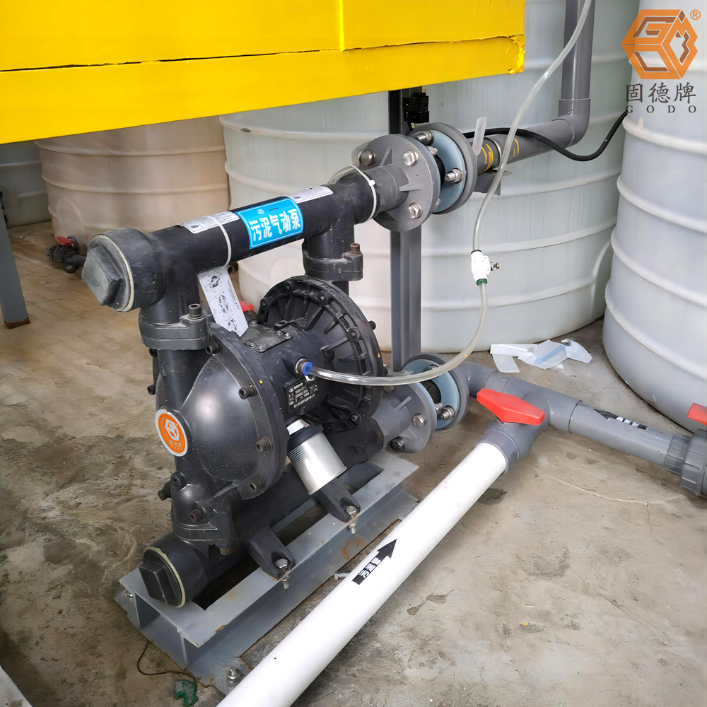 IMG_20240123_132652 IMG_20240123_132652