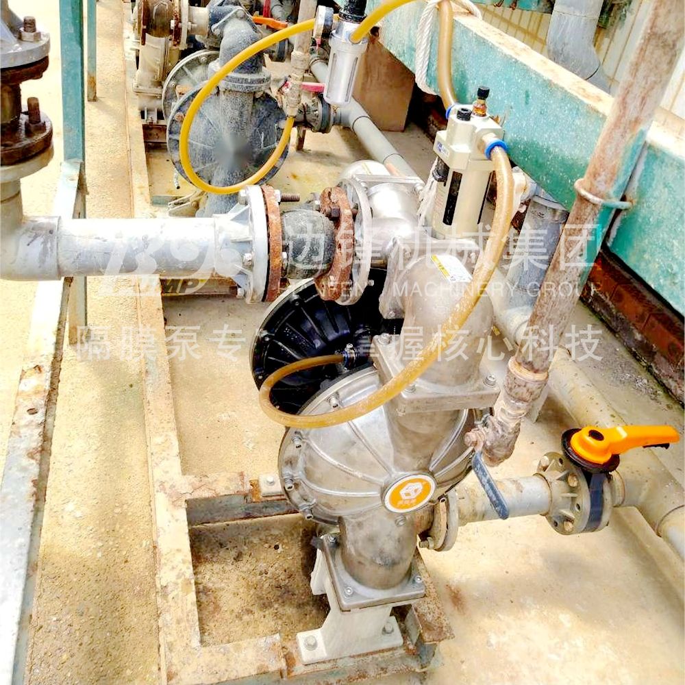 1718759811-5816.jpg 1718759811-5816.jpg