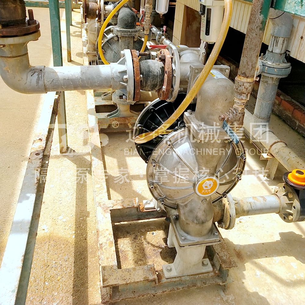 1718760540-3977.jpg 1718760540-3977.jpg