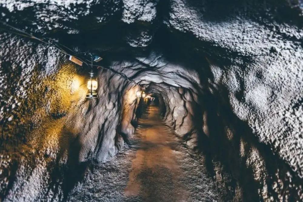 1726278480-3304.jpg 1726278480-3304.jpg